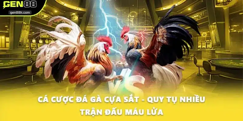 Cá Cược Đá Gà Cựa Sắt - Quy Tụ Nhiều Trận Đấu Máu Lửa
