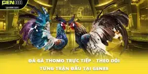 Đá Gà Thomo Trực Tiếp - Theo Dõi Từng Trận Đấu Tại GEN88