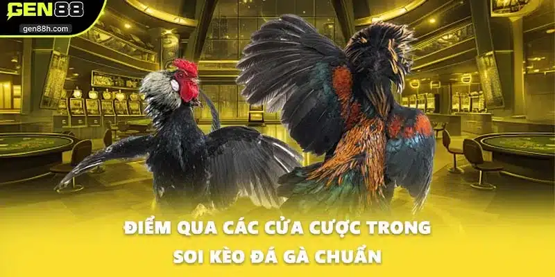 Điểm qua các cửa cược trong soi kèo đá gà chuẩn