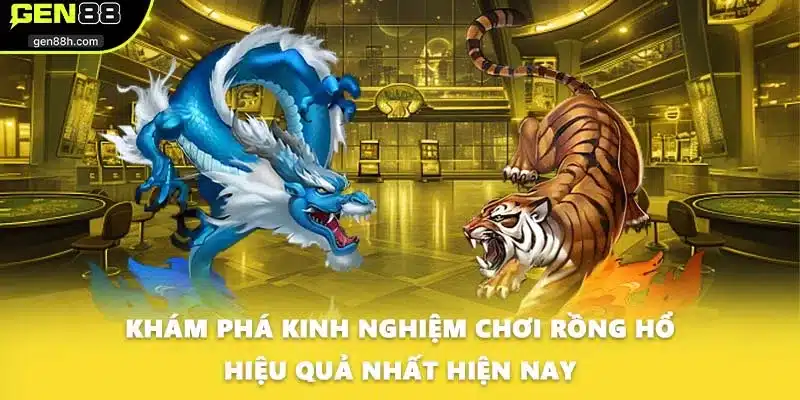 Khám phá kinh nghiệm chơi Rồng hổ hiệu quả nhất hiện nay