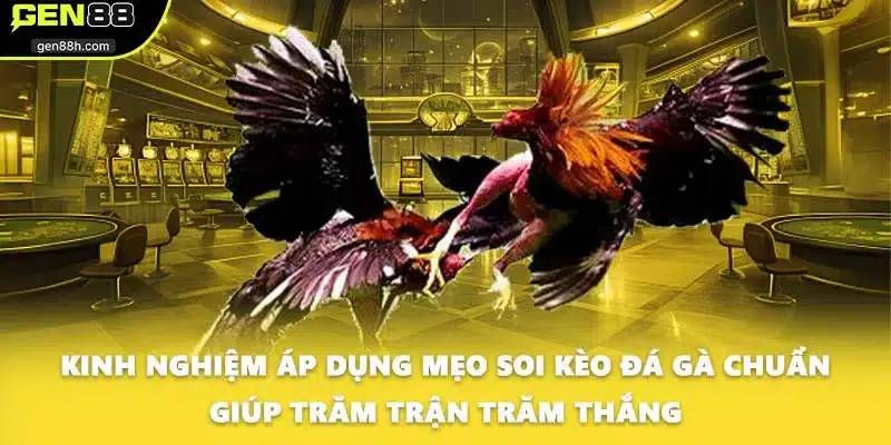 Kinh nghiệm áp dụng mẹo soi kèo đá gà chuẩn giúp trăm trận trăm thắng