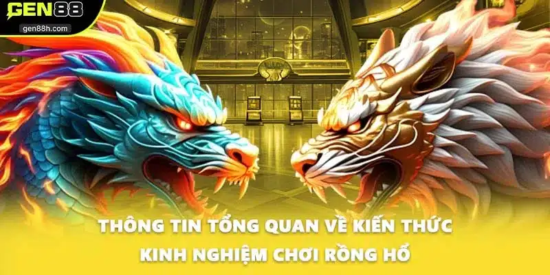 Thông tin tổng quan về kiến thức kinh nghiệm chơi Rồng hổ