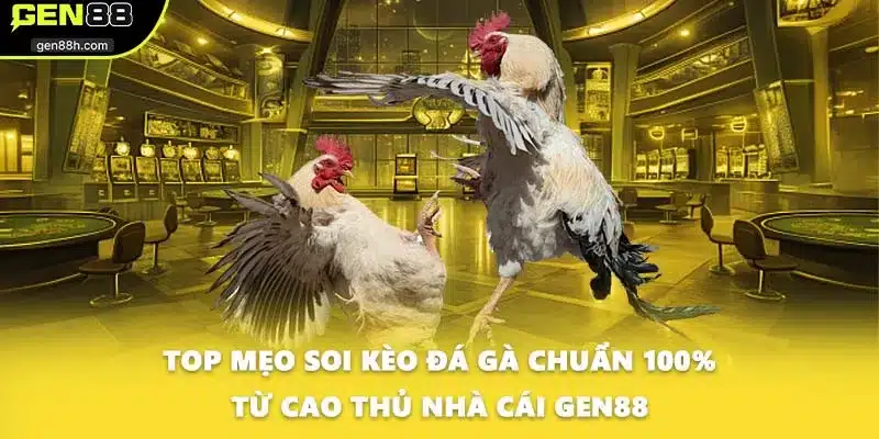 Top Mẹo Soi Kèo Đá Gà Chuẩn 100% Từ Cao Thủ Nhà Cái GEN88